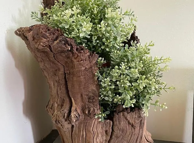 게스트하우스 Rubbiano River 3*