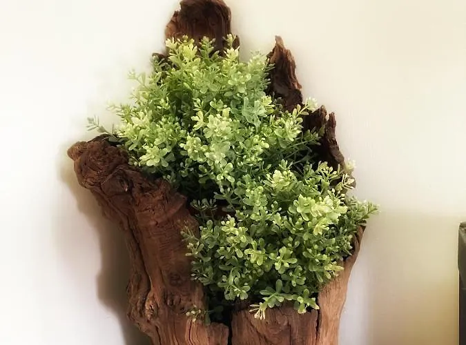 Rubbiano River 3* Solignano